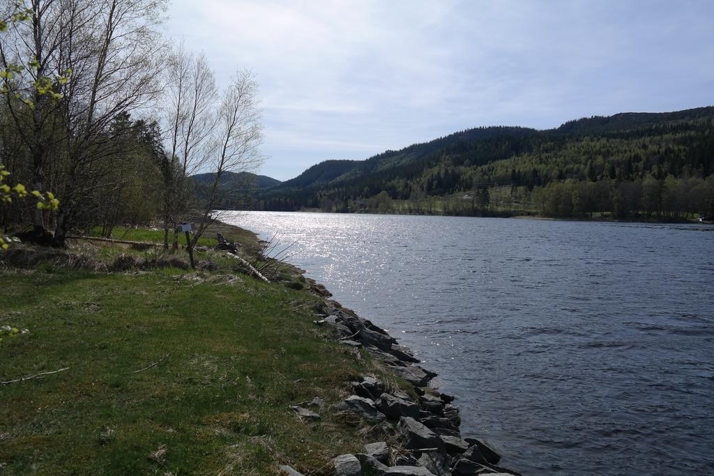 Holmset Camping And Fishing Namdalseid Extérieur photo
